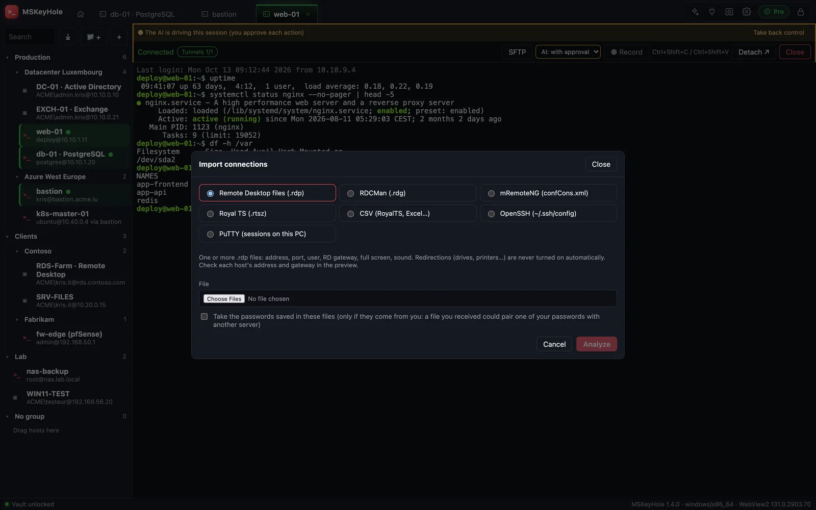 Fenêtre d'import : fichiers Bureau à distance, RDCMan, mRemoteNG, Royal TS, CSV, OpenSSH et PuTTY.